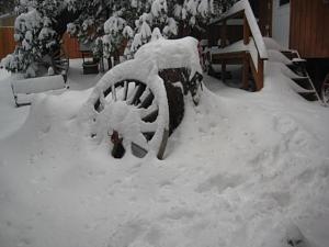 Click image for larger version

Name:	snow 001.jpg
Views:	231
Size:	32.3 KB
ID:	1454