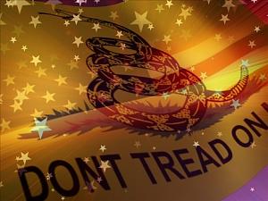 Click image for larger version

Name:	dont_tread_on_me_tea_party.jpg
Views:	155
Size:	60.5 KB
ID:	3003