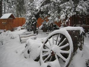 Click image for larger version

Name:	snow 12-09 002.jpg
Views:	125
Size:	49.9 KB
ID:	558