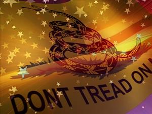 Click image for larger version

Name:	dont_tread_on_me_tea_party.jpg
Views:	136
Size:	60.5 KB
ID:	3003