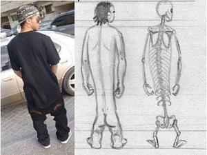 Click image for larger version

Name:	new species.jpg
Views:	161
Size:	20.6 KB
ID:	3051