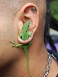 Name:  New Earring Trend for University Students.jpg
Views: 199
Size:  20.2 KB