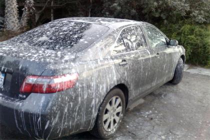 Name:  bird-poop-camry.jpg
Views: 115
Size:  25.3 KB