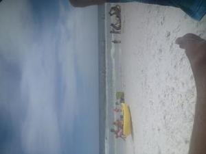 Click image for larger version

Name:	beach.jpg
Views:	160
Size:	8.9 KB
ID:	4386