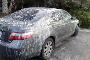 Click image for larger version

Name:	bird-poop-camry.jpg
Views:	114
Size:	25.3 KB
ID:	3215