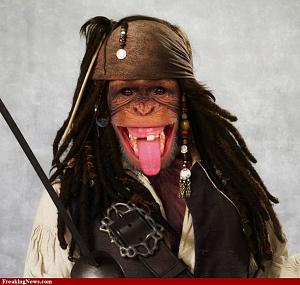 Click image for larger version

Name:	Monkey-Pirate-79236.jpg
Views:	142
Size:	169.9 KB
ID:	3983